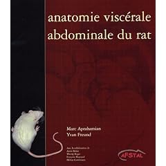 Anatomie visc�rale abdominale du rat