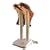 PEET Shoe Dryer Original M97-OL Shoe Dryer