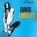 David Lindley She Took Off My Romeos