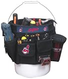 MLB Team