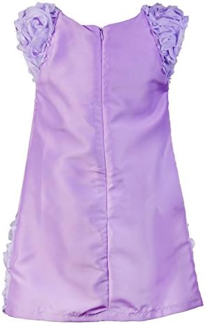 Baby Fashionistas Big Girls' Shift Dress With Floral Appliques 12 Yrs Purple