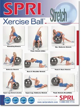 SPRI Stretch Xercise Ball Wall Chart