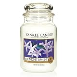 Yankee Candle 22 oz. Midnight Jasmine Jar Candle