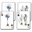 Crocus Sativus / Crocus Vernus - Double Deck Playing Cards