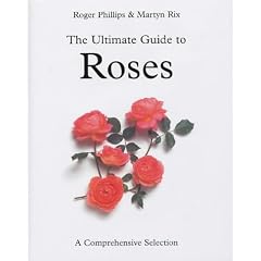 Ultimate Guide to Roses: A Comprehensive Selection