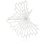 Nervous System Radiolaria Stainless Steel Broo