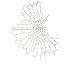 Nervous System Radiolaria Stain