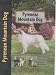 Pyrenean Mountain Dog (Berger des Pyrenees) (Pet Love)