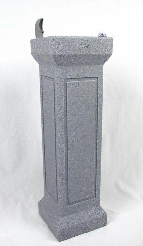 The Backyard Oasis 504332