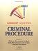 Book Criminal Procedure