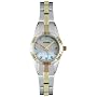 Fossil Women's Two Tone Stainless Steel Watch #AM4154