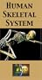 Human Skeletal System [VHS]