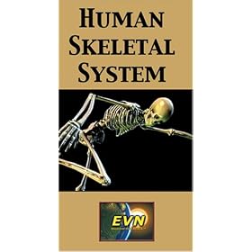 Human Skeletal System [VHS]