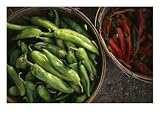 Green Chile Roasting Stands Along Federal Boulevard, Denver, Colorado Art Photographic Poster Print by Michael S. Lewis, 16x12