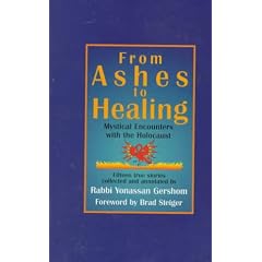 From Ashes to Healing: Mystical Encounters With the Holocaust : Fifteen True Stories