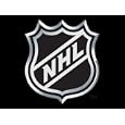 NHL SnapShots 2008