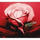 Gotan Project Live