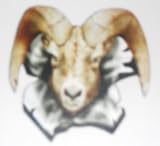Ram Magnet
