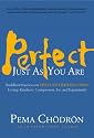 Perfect Just as You Are: Buddhist Practices on the Four Limitless Ones--Loving-Kindness, Compassion, Joy, and Equanimity