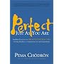 Perfect Just as You Are: Buddhist Practices on the Four Limitless Ones--Loving-Kindness, Compassion, Joy, and Equanimity