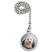 Golden Retriever Puppy Dog Wrapped in Blanket Ceiling Fan and Light Pull Chain