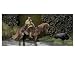 Bushwacker Comics Art Poster Print by Ali Naqvi, 20x16 Image