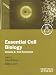 Essential Cell Biology Vol 1: Cell Structure: Cell Structure Vol 1 (Practical Approach Series)