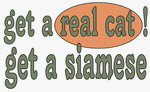 get a real cat! Get a siamese Apron
