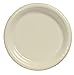 Creative Converting Touch of Color 20 Count Plastic Lunch Plates, Ivory