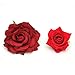 DreamLily Rose Flower Hair Clip Flamenco Dancer Pin up Flower Brooch BC10 (Red)