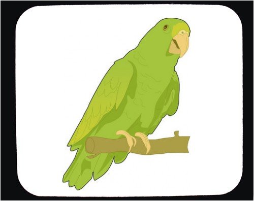 Mauspad mit Dekoration - gruen, Inland, Papagei, hoch, exotisch, Aviaeren, Amazon, Vogel, Haustier, papegoja, Tier