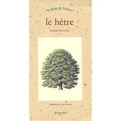 Le h�tre