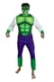 Hulk Adult Halloween Costume