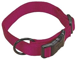 Hamilton "Fits All" 5/8" Adjustable Nylon Dog Collar, Wine, Small (12-18 in)