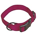 Hamilton 1-Inch Adjustable Dog Collar, Large, Fits 18-Inch by 26-Inch, Wine