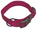 Hamilton "Fits All" 5/8" Adjustable Nylon Dog Collar, Wine, Small (12-18 in)