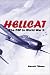Grumman F6F Hellcat remembered