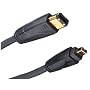 Monster Cable FL300 FireLink 300 IEEE 1394 Digital Audio/Video Connection, 4 Pin to 6 Pin (2 M)