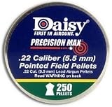 Daisy .22 Max Precision Pointed