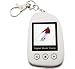 7dayshop Pebble TFT Digital Photo Frame - 1.5 Keyring Version - Silver
