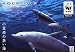 AQUAZONE Open Water 小笠原の蒼い海