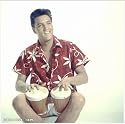 Elvis - Paradise Hawaiian Style, Art Poster by Elvis Presley Enterprises, size 11" x 14"