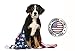 Pet Eden Natural Grain Free Chicken Jerky Dog and Cat Treats, 8 oz. Strips