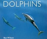 Dolphins