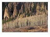 Black Canyon and the Gunnison River, Colorado, USA Photographic Poster Print by Gavriel Jecan, 24x18