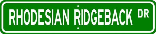 Rhodesian Ridgeback STREET SIGN ~ High Quality Aluminum ~ Dog Lover