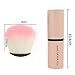 Aisxle Retractable Kabuki Brush - Incredibly Soft - Kabuki Brush - Makeup Brush - Best Gift For Her,Girl Friends,Holidays,Birthday,Valentines,Thanksgiving,Christmas,Anniversary And More