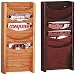 Buddy Products 611-11 5-Pocket literature display wall rack, medium oak