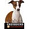 My favorite Italian Greyhound products