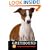 Italian Greyhound: A Complete and Reliable Handbook (Complete handbook)